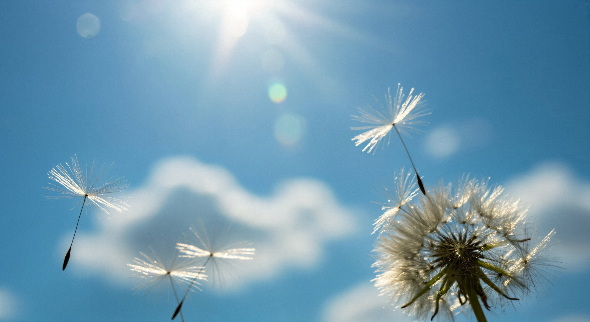 Elemental Quantum Transformation